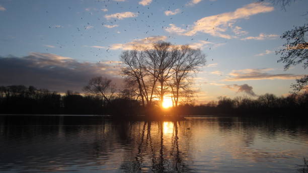 istock Beautiful Sunset over a Lake 1017556338