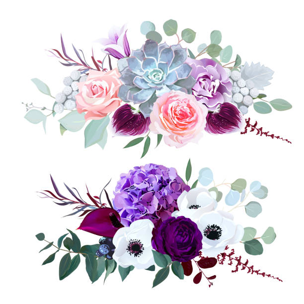Purple hydrangea, carnation, bell flower, pink rose, anthurium, Purple hydrangea, carnation, bell flower, pink rose, anthurium, dark orchid, brunia, white anemone, eucalyptus and greenery vector design horizontal bouquets. Fall wedding. All elements are isolated campanula nobody green the natural world stock illustrations