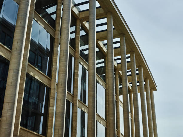 istock Monumental building exterior with windows and pillar 1017556976