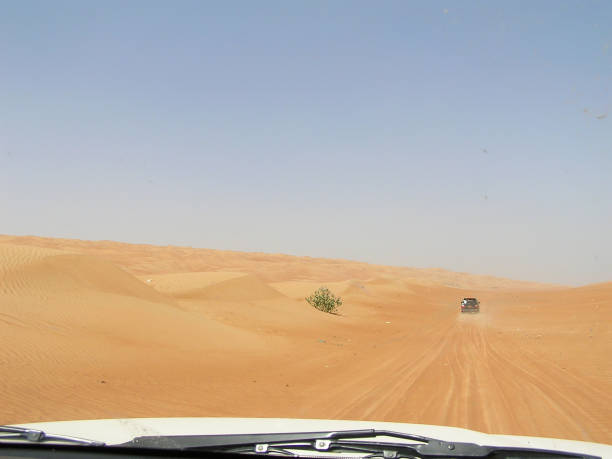 istock Desert Rimal Al Wahiba-Oman 1017561920