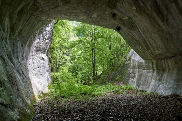 istock Cave in Apuseni, Romania 1017566324