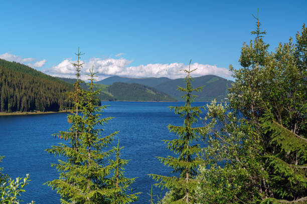 istock Vidra dam lake in Romania 1017566822