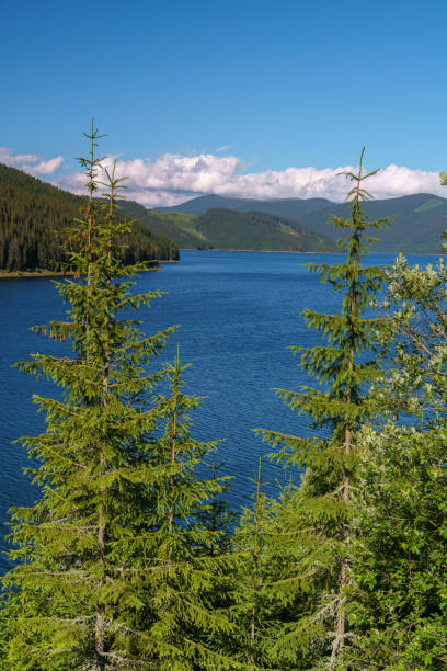 istock Vidra dam lake in Romania 1017567922