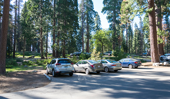 Grant Grove, California, USA - June 15, 2017: suv cars, tousist buses on the parking in the Sequoia National Park, California, USA. Picturesque woodland and mountain area of California. Car Tourist Journey through the US Natural Parks
