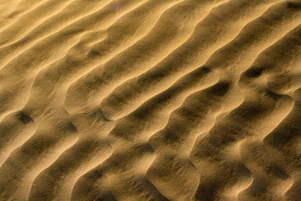 increspature di sabbia nel vasto rub' al khali, o quartiere vuoto, il più grande deserto di sabbia contiguo del mondo, nel sud della penisola arabica (oman, yemen, emirati arabi uniti e arabia saudita) - united arab emirates liwa desert saudi arabia arabia foto e immagini stock