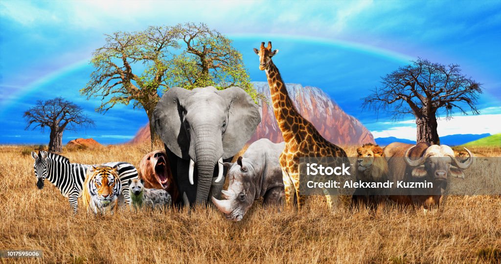 Sabana Africana En El Fondo De Muchos Animales Diferentes Fondos De Pantalla 3d Para Las Paredes Render 3d Foto de stock y más banco de imágenes de Agricultura - iStock Sabana Africana En El Fondo De Muchos Animales Diferentes Fondos De Pantalla 3d Para Las Paredes Render 3d Foto de stock y más banco de imágenes de Agricultura - iStock
