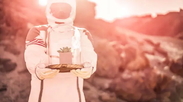 Photo of Astronaut bringing plant box in other planet - Spaceman trying to bring life into new galaxy - Saving the environment mission, discovering, and future concept - Focus on cosmonaut hands and herb