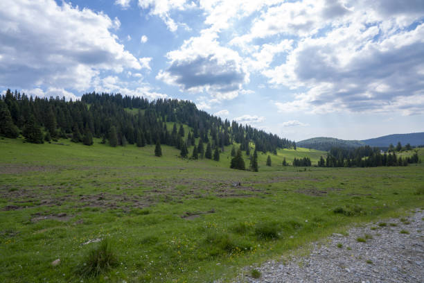 istock Mountain Apuseni Zona Padis Romania on the peak 1017619736