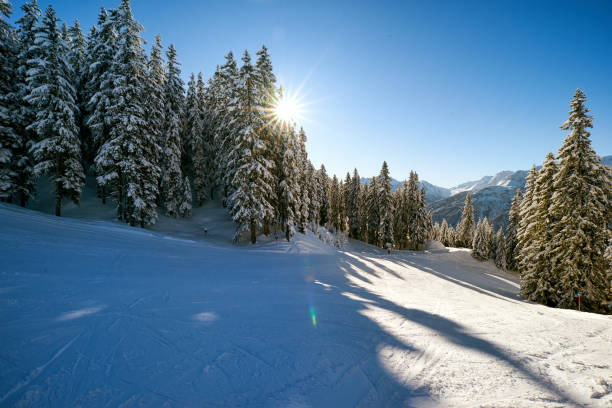silvretta montafon tal im winter - silvretta stock-fotos und bilder