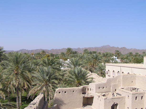 istock View from the Nizwa fortress 1017620262