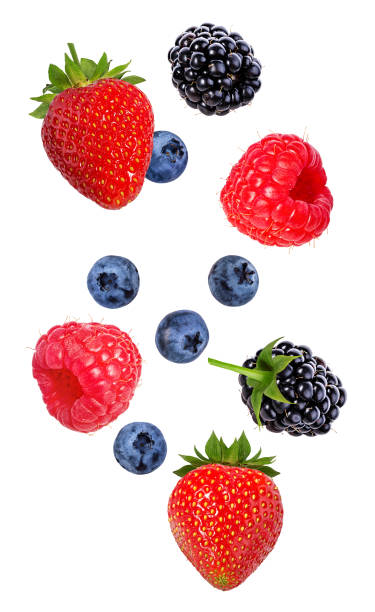 jagody w powietrzu. spadające owoce jeżyny, maliny, borówki i truskawki wyizolowane na białym tle - strawberry vine zdjęcia i obrazy z banku zdjęć