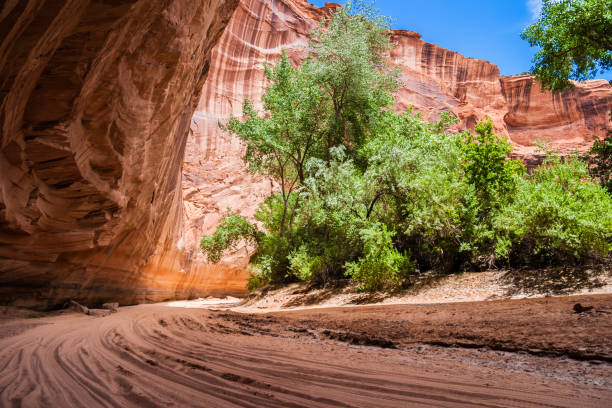 istock Canyon de Chelly landscape 1017636380