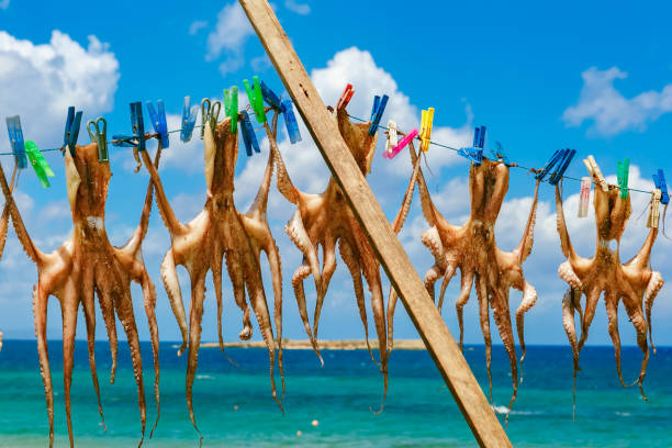 istock Drying octopus in Chania, Crete, Greece 1017641868