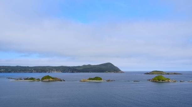 istock small Island group near Ferryland, NL Canada 1017644368
