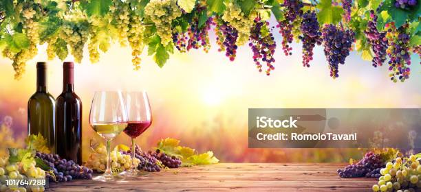 Bottles And Wineglasses With Grapes At Sunset Stock Photo - Download Image Now - Wine, Grape, Vineyard