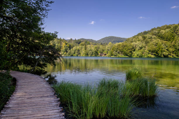 istock Beautiful view in Plitvice Lakes National Park. Croatia 1017647616