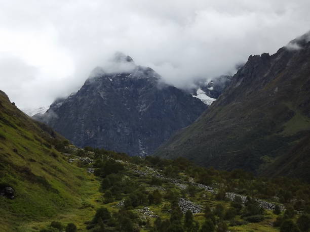 istock landscape : valley of flowers 1017647736