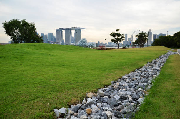 istock Stone and green grass in the garden 1017655758