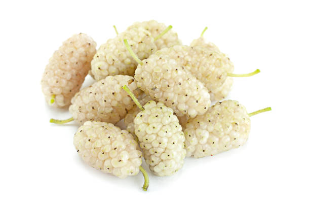 istock White Mulberry berry isolated 1017658962