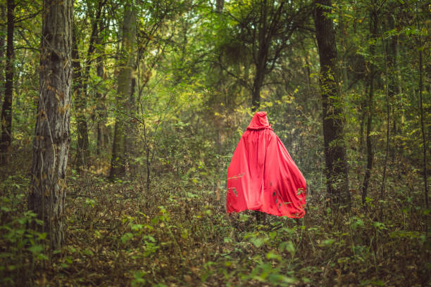 istock Little red riding hood in a forest 1017664230