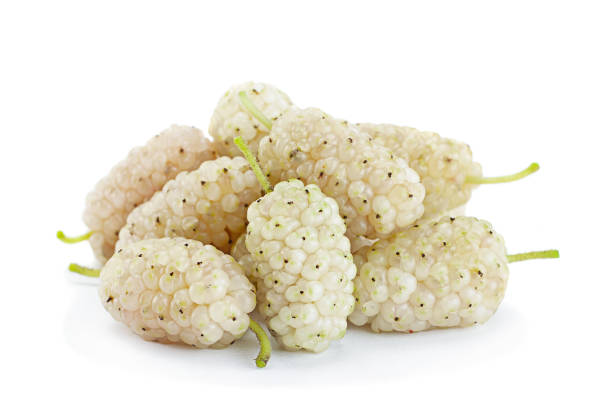 istock White Mulberry berry isolated 1017666596