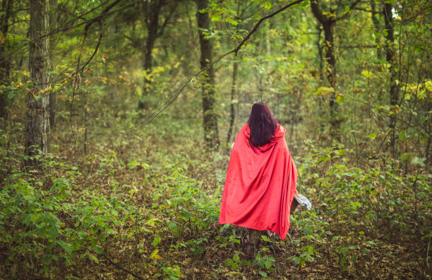 istock Little red riding hood in a forest 1017667114
