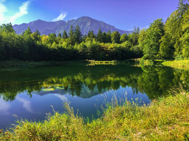 View of idyllic lake in Bad Reichenhall, Germany