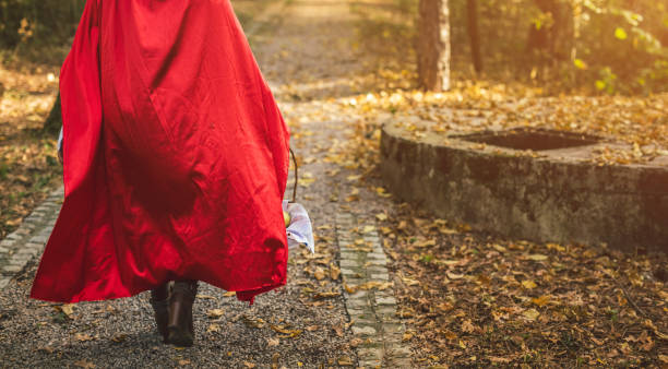 istock Little red riding hood in a forest 1017667324