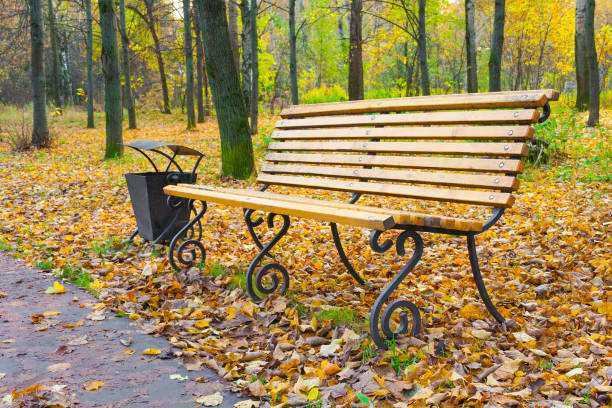 istock A wooden bench and a trash can in an autumn park 1017670344