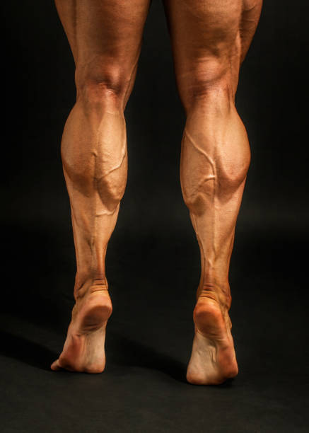 detail on male bodybuilder calves muscles shot on black background. - men body building human muscle muscular build imagens e fotografias de stock