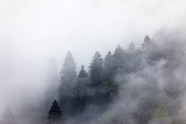 Abstract image of majestic mountains in the fog. Black sea mountain in Turkey.