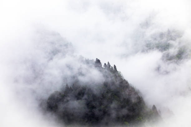 istock Mountains in the fog. 1017679992