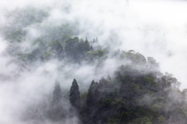 istock Mountains in the fog. 1017680074