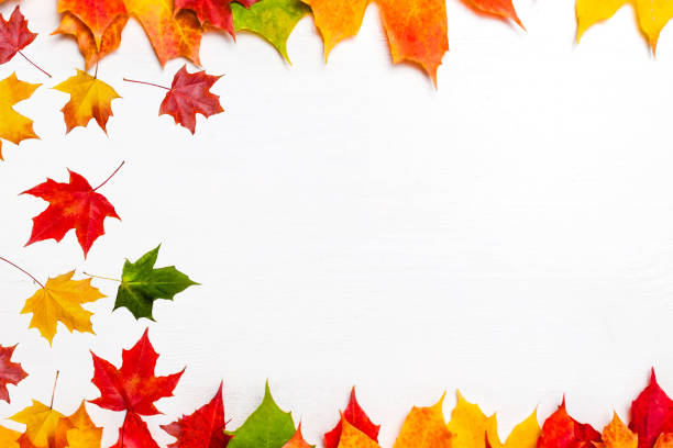istock Autumn frame composition made of falling  autumn leaves on white background with Copy space.  Flat lay, top view