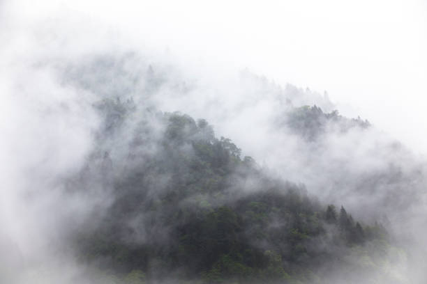 istock Mountains in the fog. 1017680194