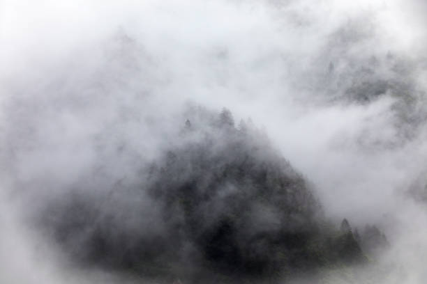 istock Mountains in the fog. 1017680408