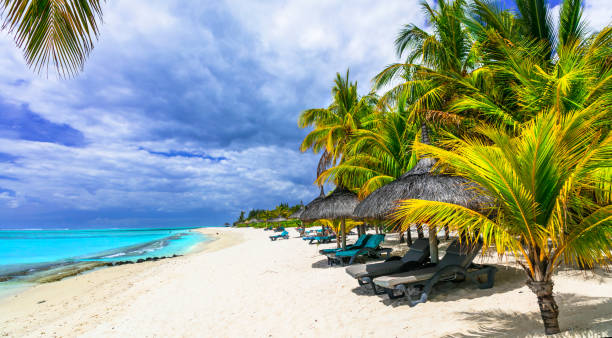 istock Exotic tropical beaches of splendid Mauritius island 1017688762
