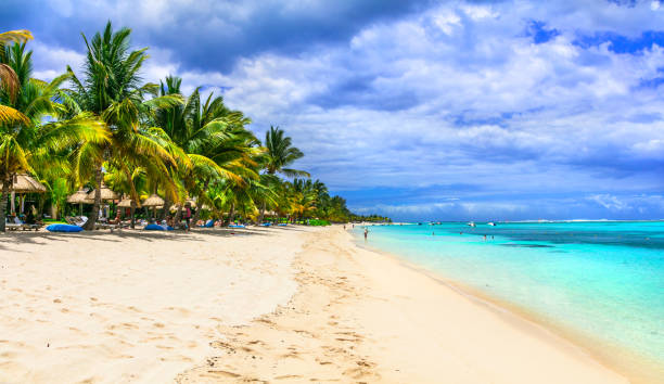 istock White sandy beaches of exotic Mauritius island 1017688766