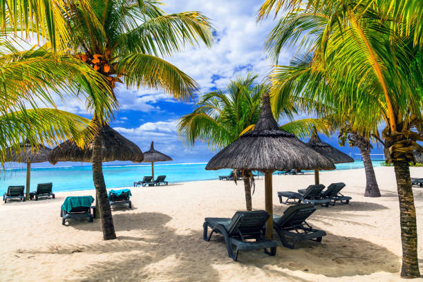 istock relaxing tropical holidays in exotic paradise -Mauritius island 1017688768
