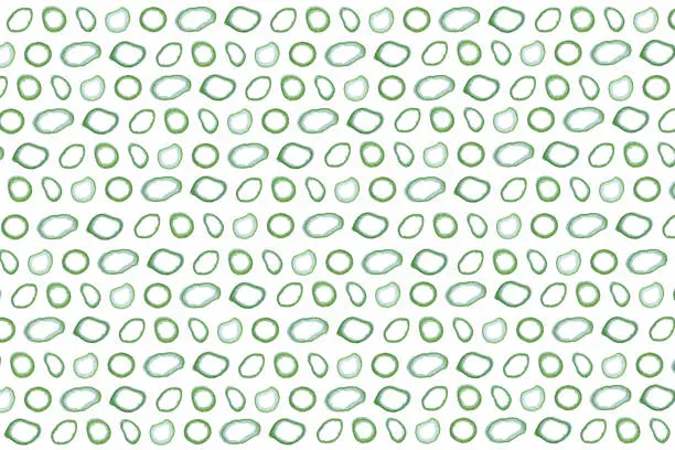 Onion rings pattern. Fresh healthy vegetable texture. Vegetarian product background. Landscape orientation. Horizontal direction.