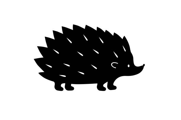 illustrations, cliparts, dessins animés et icônes de silhouette de hérisson noir. ombre de vecteur. chemin de coupe laser - hedgehog