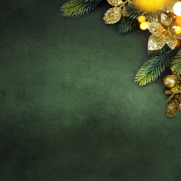 istock Christmas holiday background with fir branch 1017689426