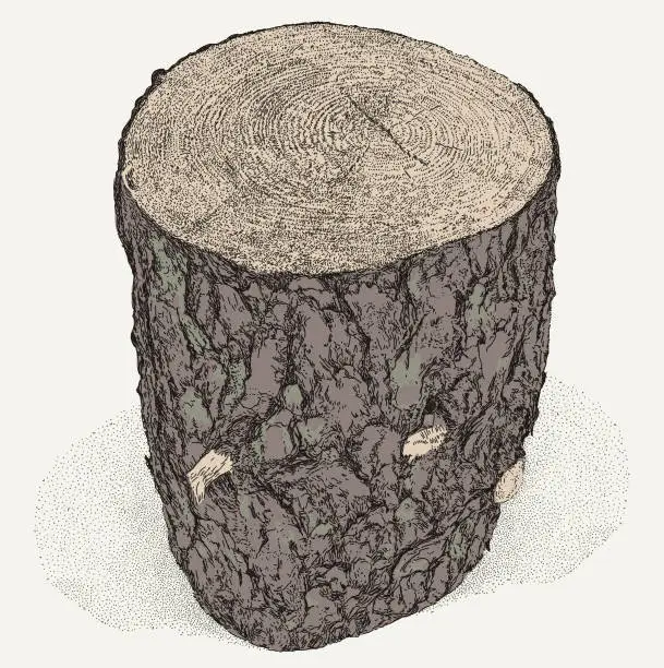 Vector illustration of Tree Log