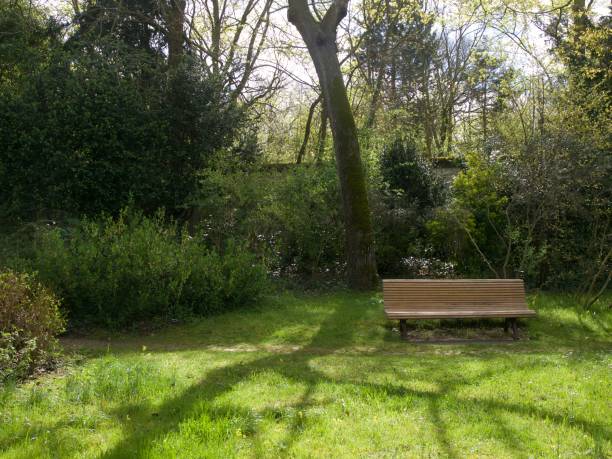 istock Parc de Bagatelle/Paris,France 1017692582
