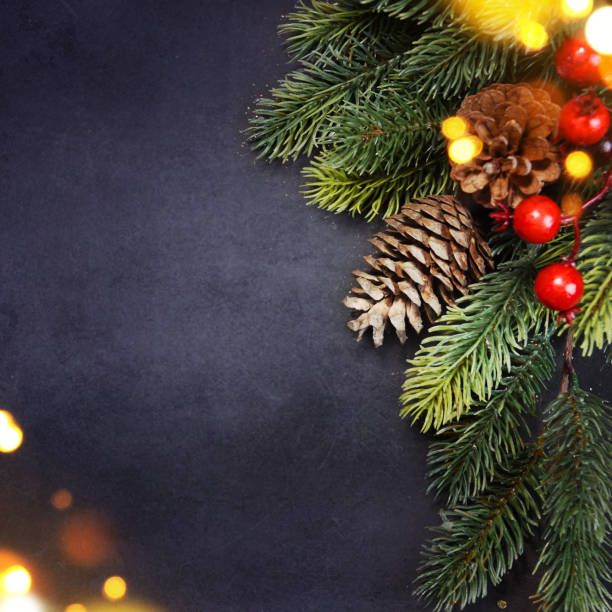 istock Christmas holiday background with fir branch 1017692774
