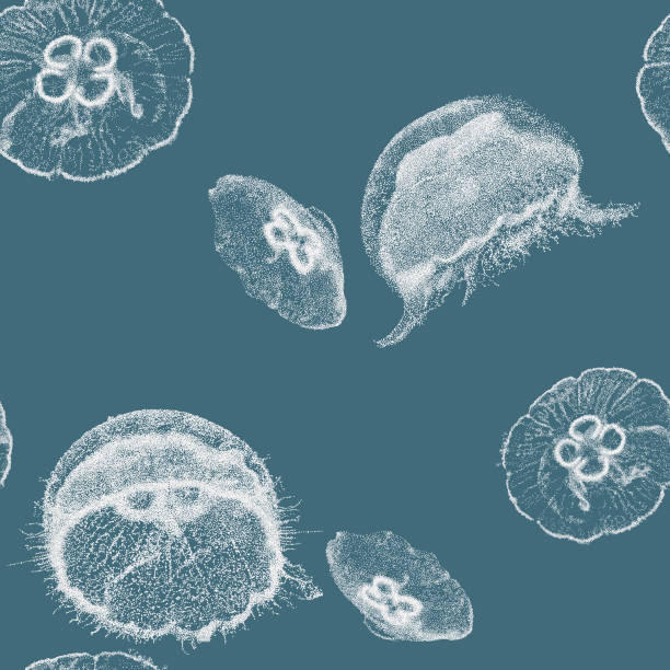 クラゲは、パターンを繰り返す - jellyfish点のイラスト素材／クリップアート素材／マンガ素材／アイコン素材