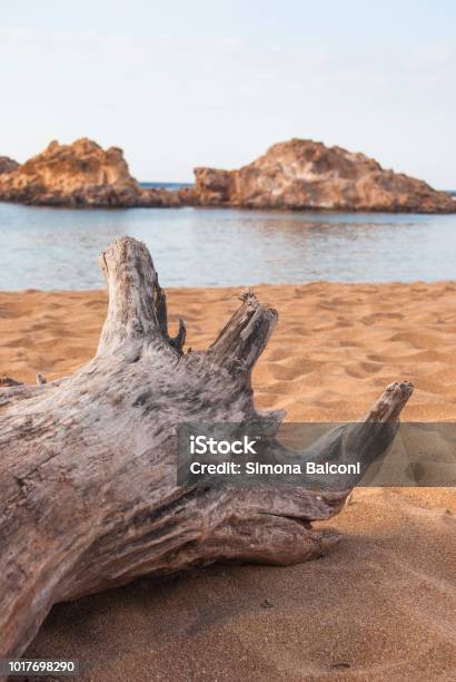 Trunk On The Red Sand Of Pregonda Cove Stock Photo - Download Image Now - Abandoned, Archipelago, Balearic Islands