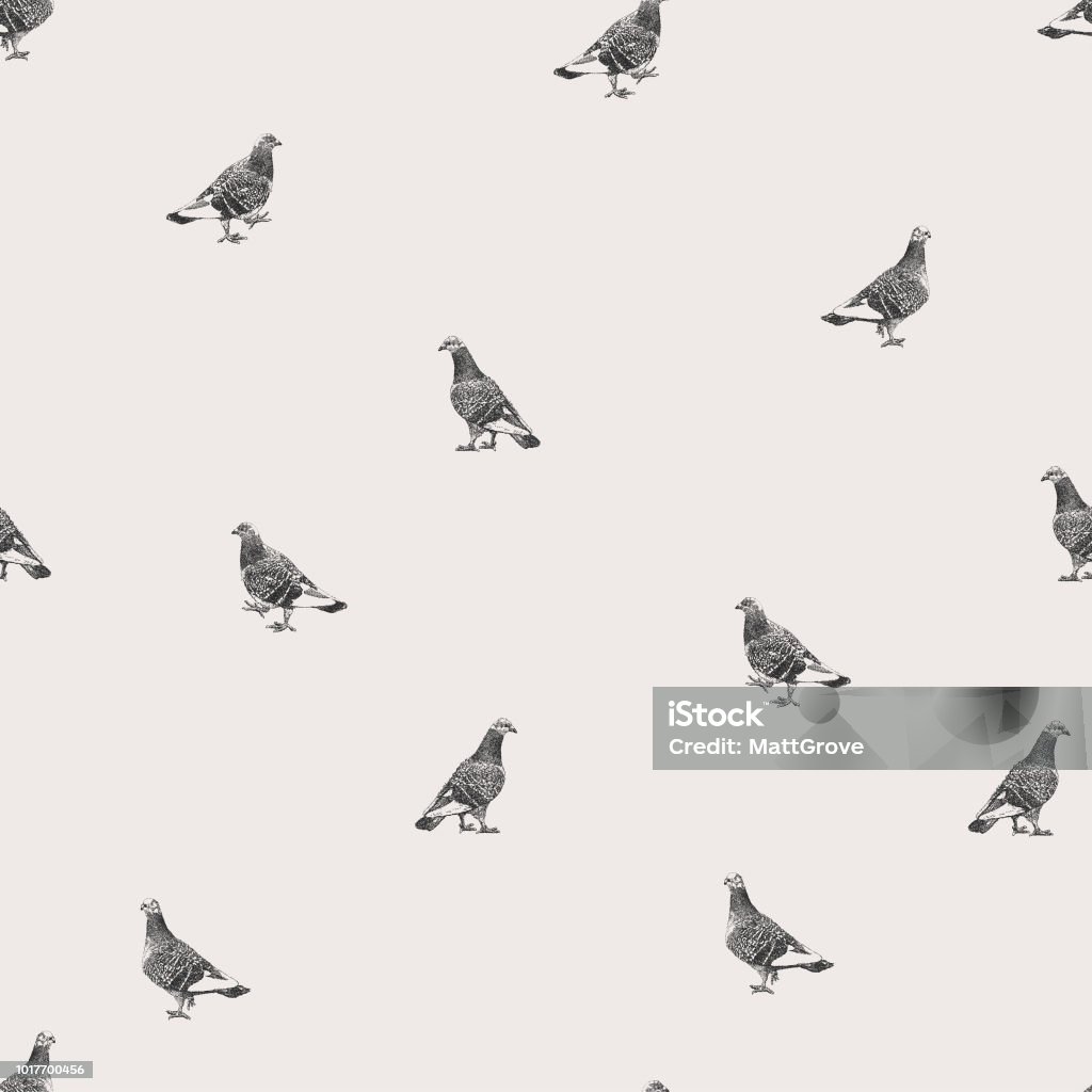 Pigeons Repeat Pattern Vector seamless repeat. All colors are layered and grouped separately.
Icons are available in more detail and in stroke form from my iStock folio. Easily editable. Pigeon stock vector