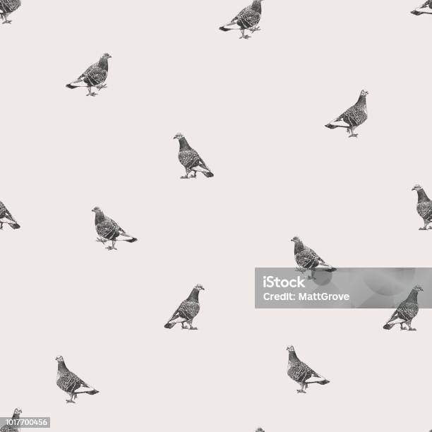 Pigeons Repeat Pattern Stock Illustration - Download Image Now - Pigeon, Illustration, Animal