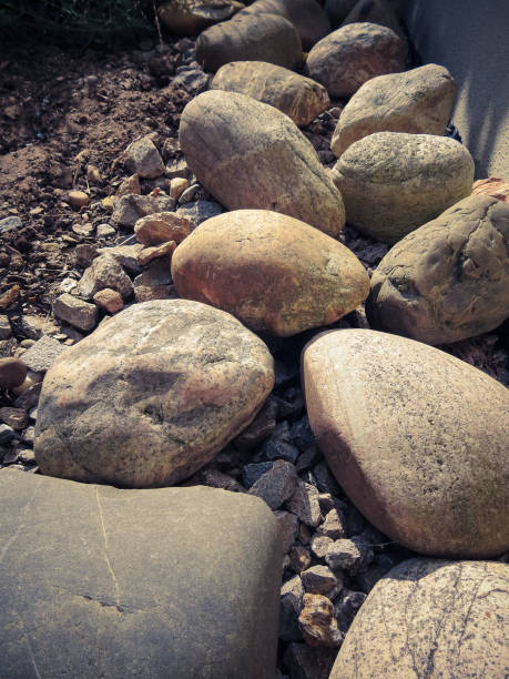 istock Pebblestones in the garden 1017706322